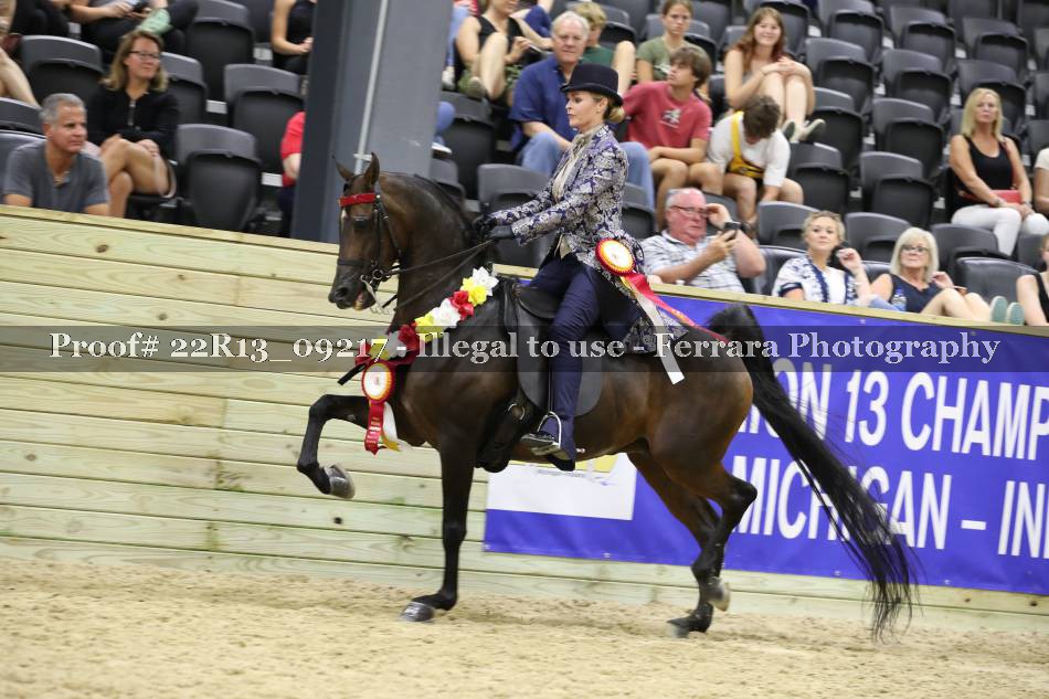 Proof 22R13_09217