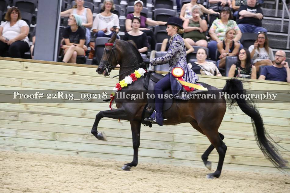 Proof 22R13_09218