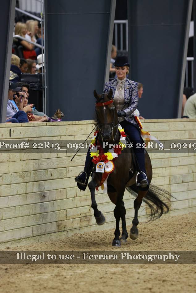 Proof 22R13_09219