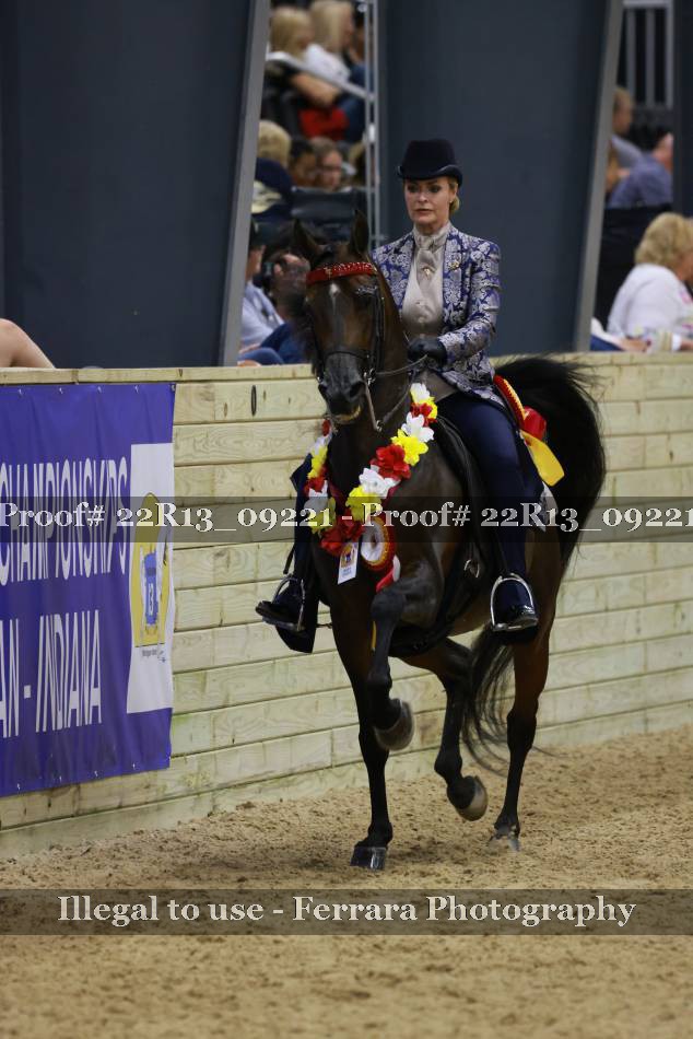 Proof 22R13_09221