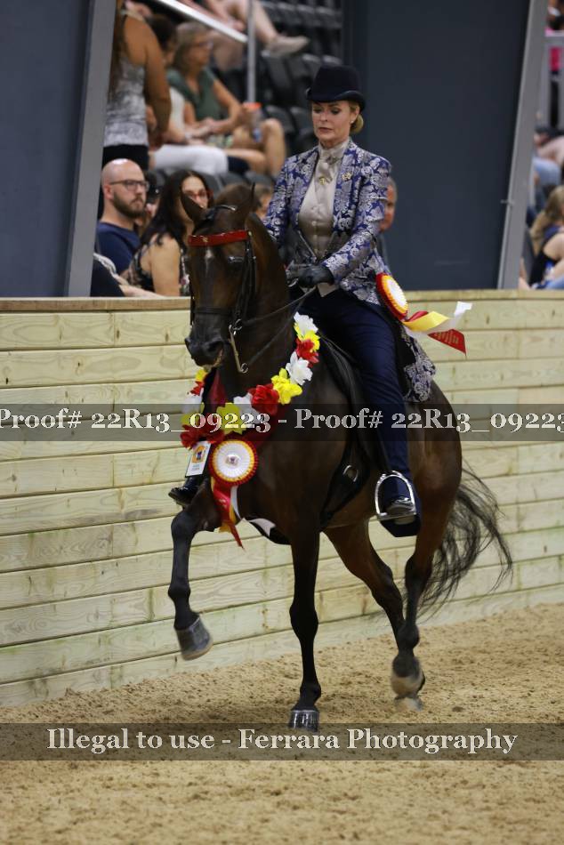 Proof 22R13_09223