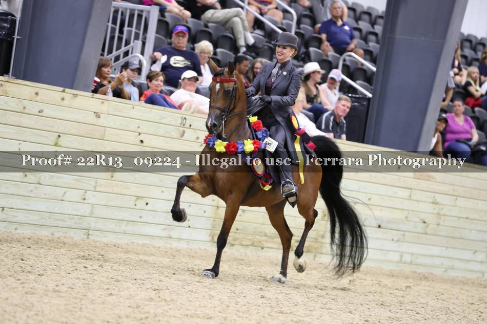 Proof 22R13_09224