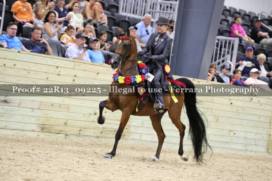 Proof 22R13_09225