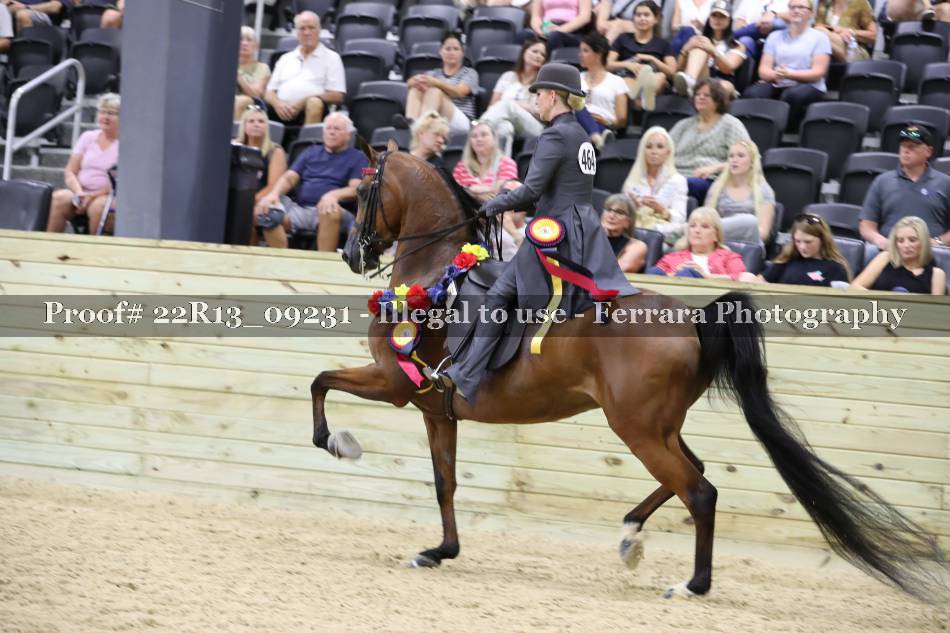 Proof 22R13_09231