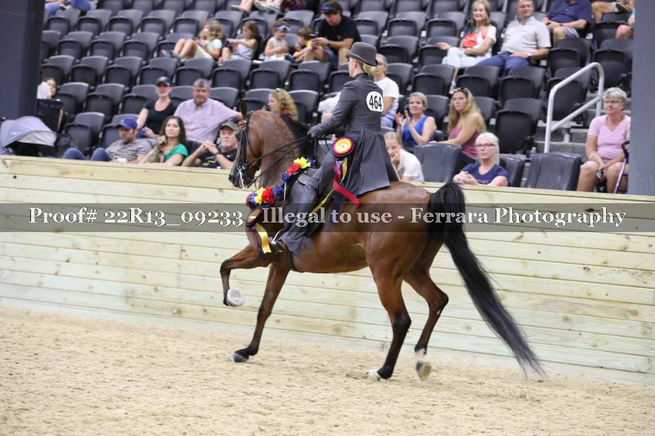 Proof 22R13_09233