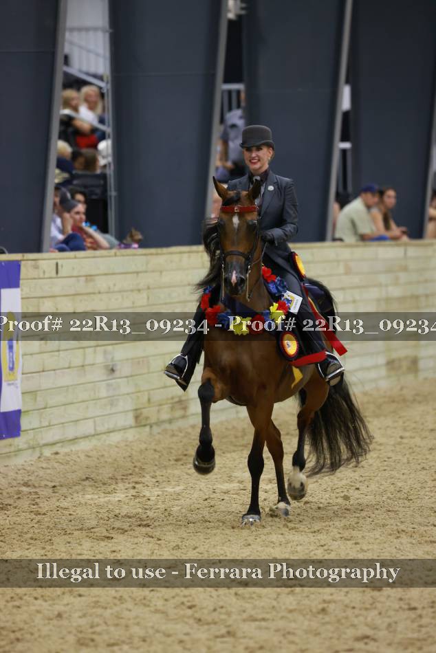 Proof 22R13_09234