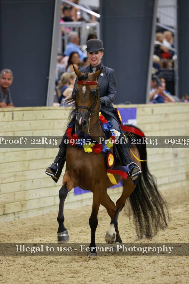 Proof 22R13_09235