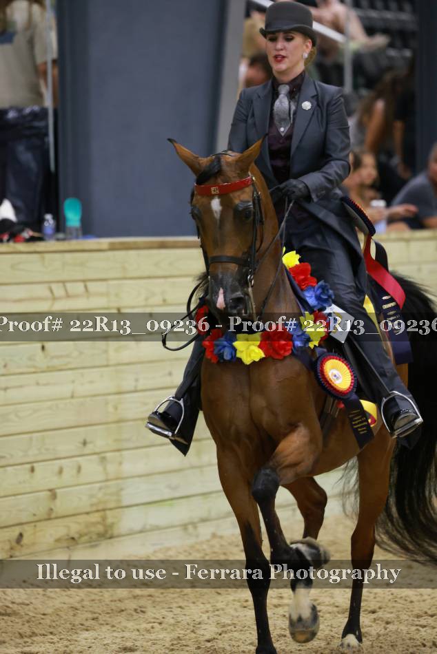 Proof 22R13_09236