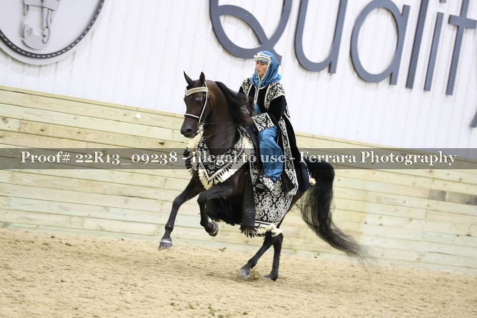Proof 22R13_09238