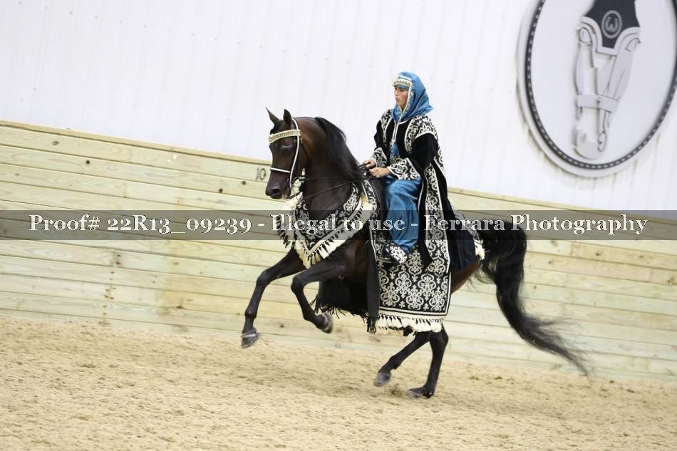 Proof 22R13_09239