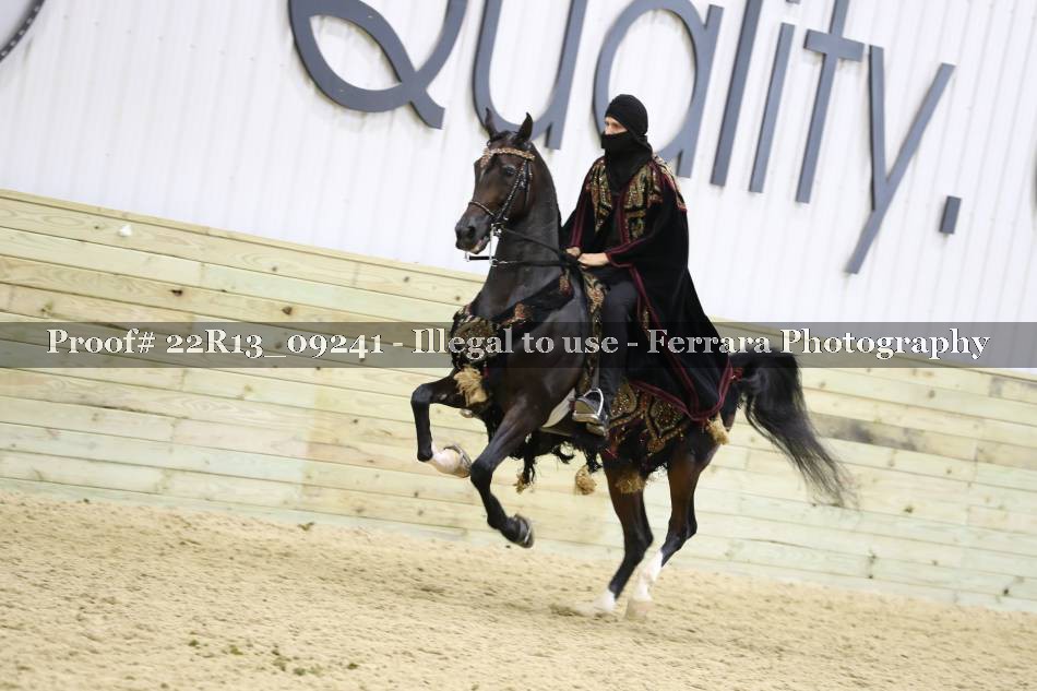 Proof 22R13_09241