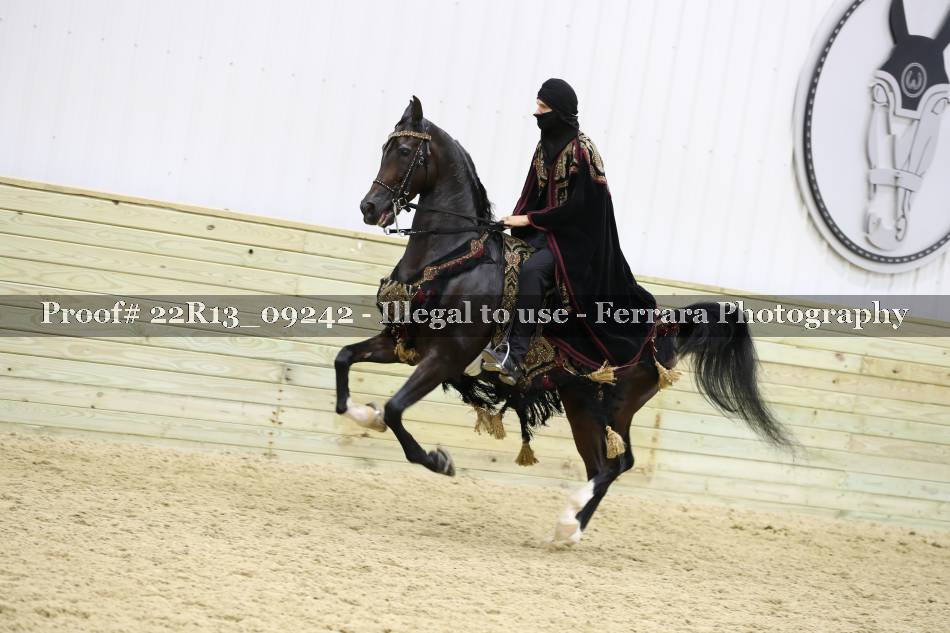 Proof 22R13_09242