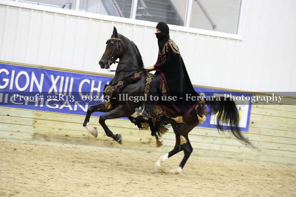 Proof 22R13_09243