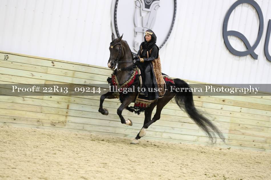 Proof 22R13_09244