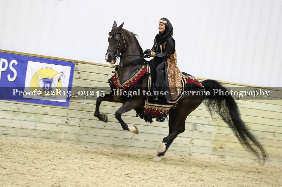 Proof 22R13_09245