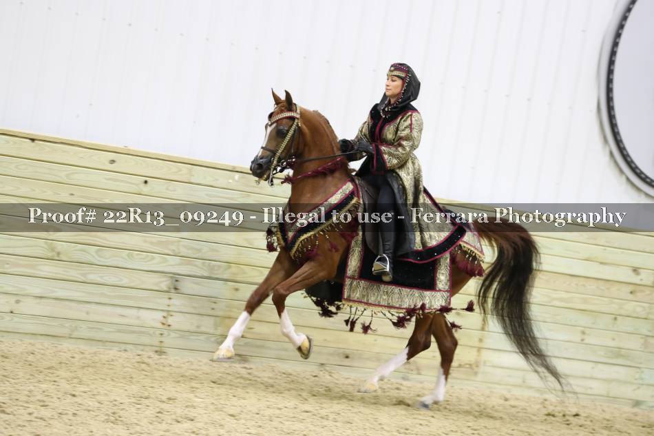 Proof 22R13_09249