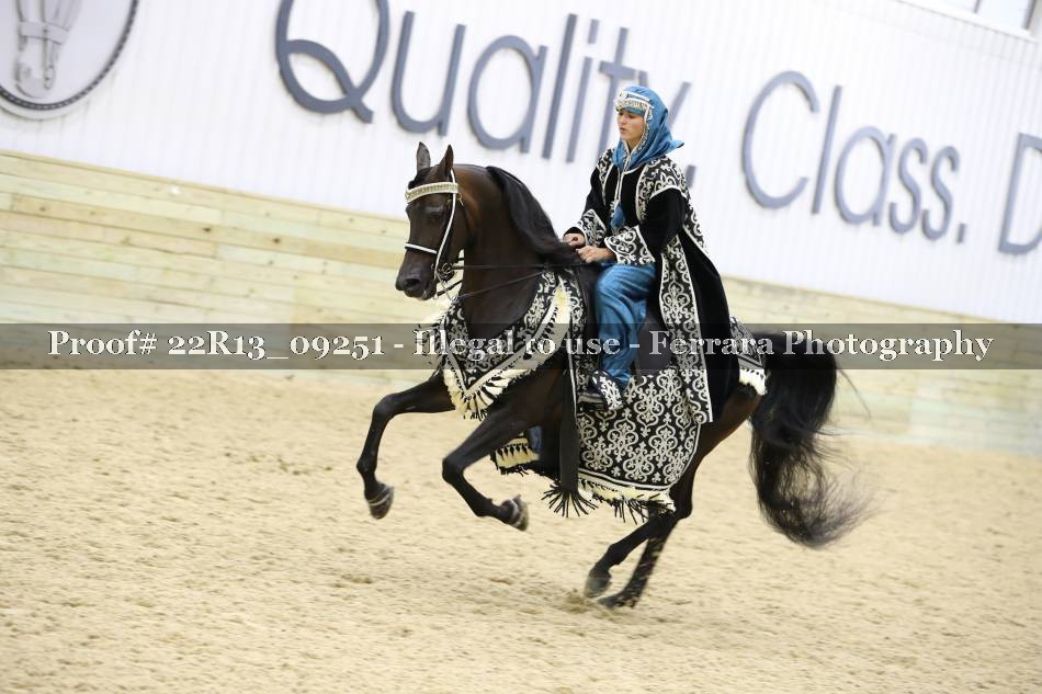 Proof 22R13_09251