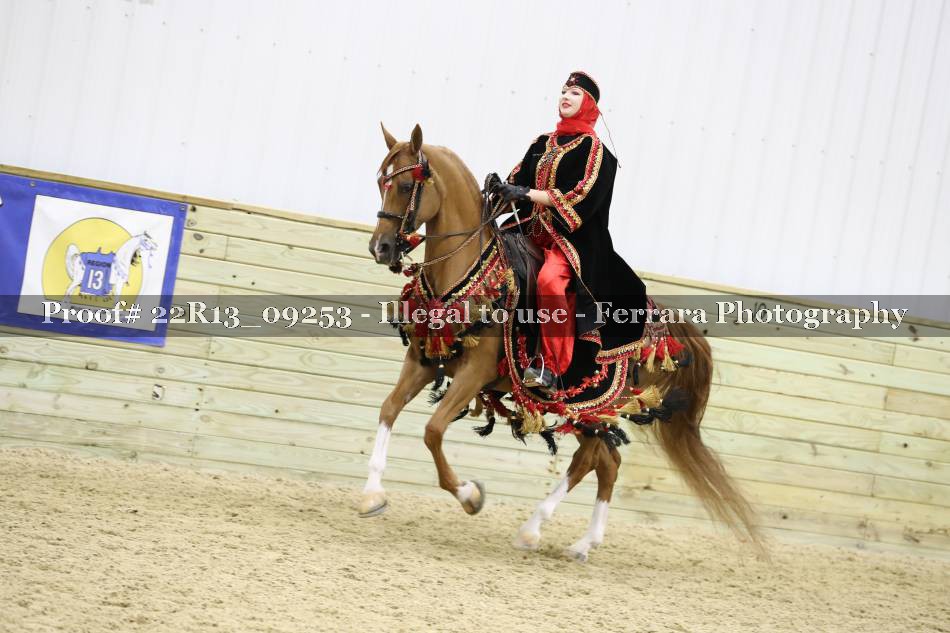 Proof 22R13_09253
