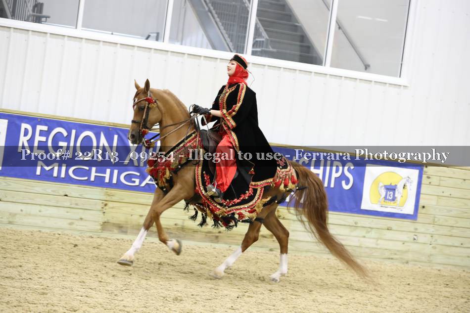 Proof 22R13_09254