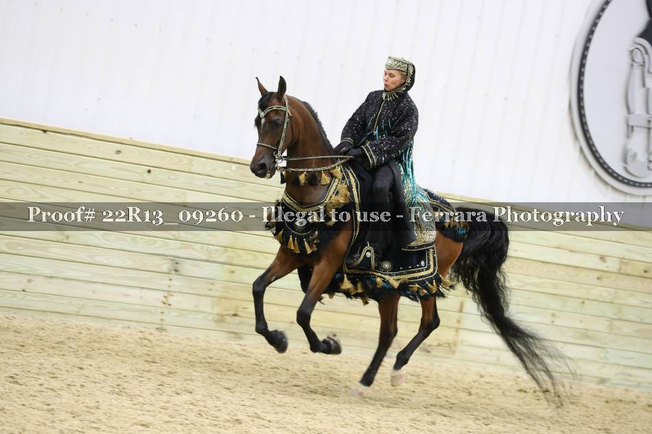 Proof 22R13_09260