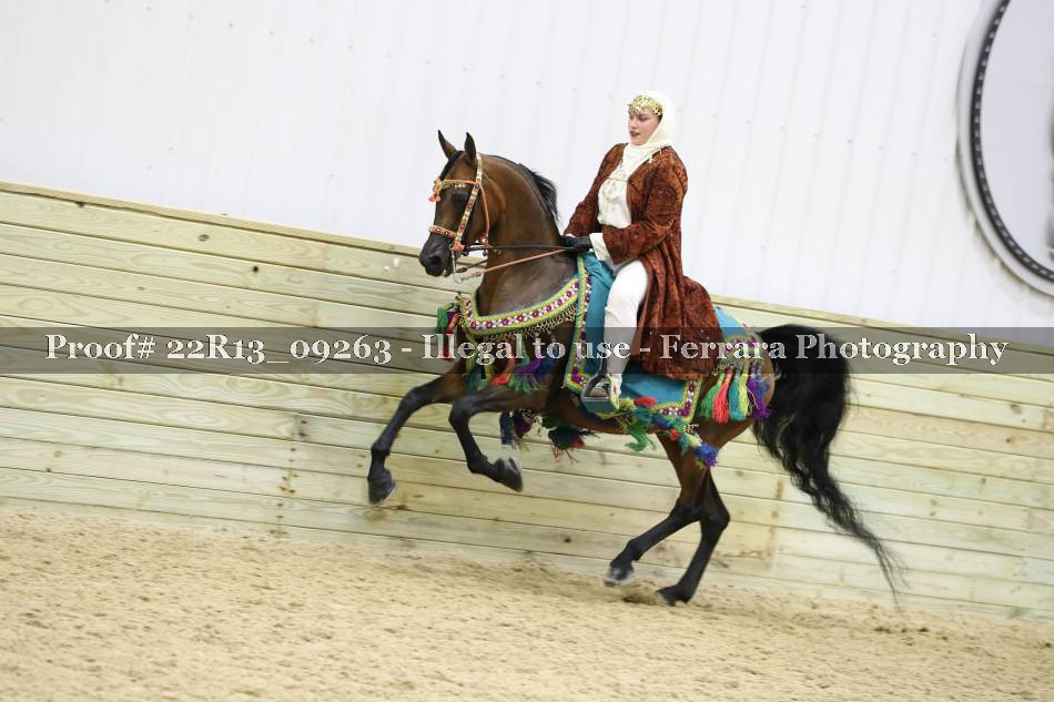 Proof 22R13_09263