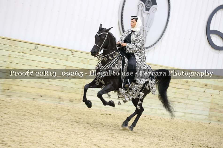 Proof 22R13_09265