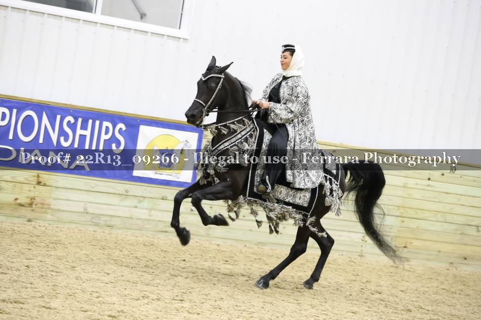 Proof 22R13_09266