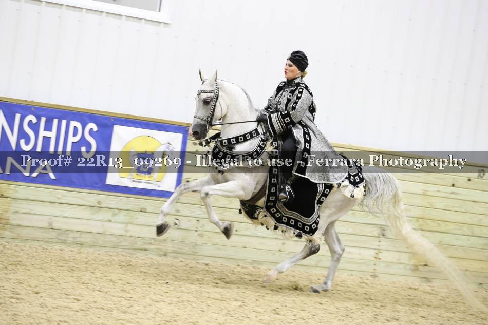 Proof 22R13_09269