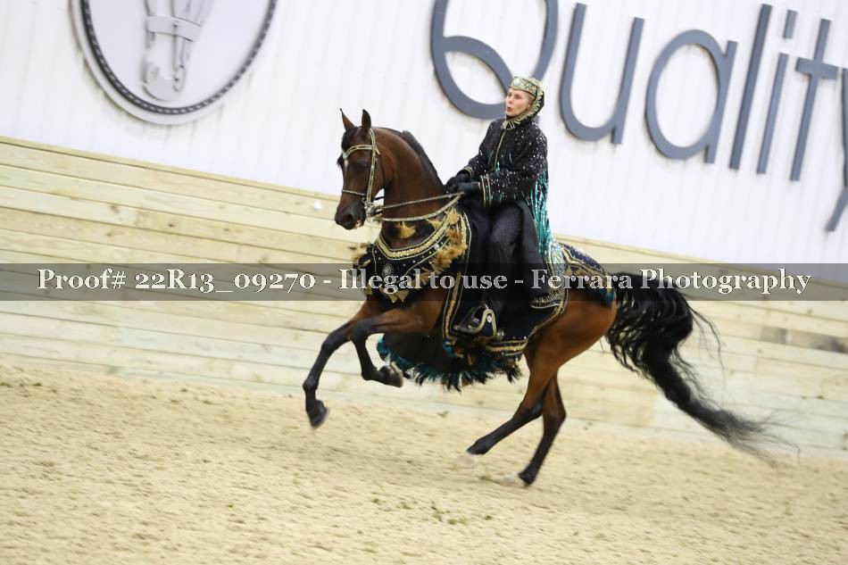 Proof 22R13_09270