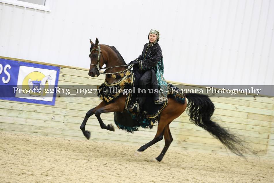 Proof 22R13_09271