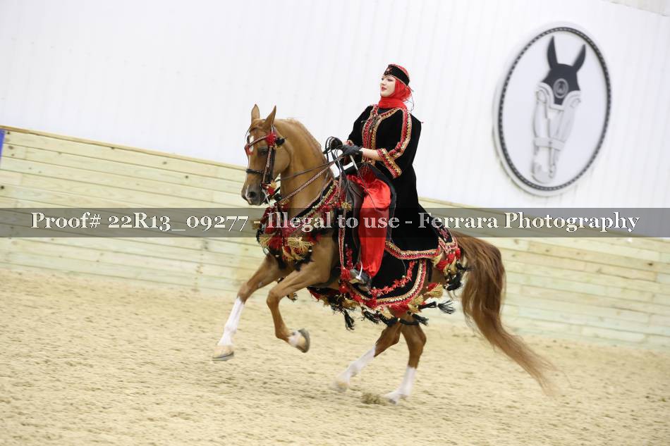 Proof 22R13_09277