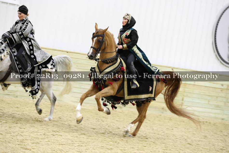 Proof 22R13_09281