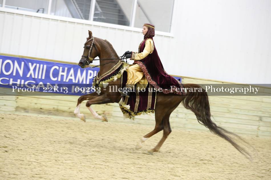 Proof 22R13_09283