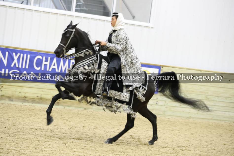 Proof 22R13_09287