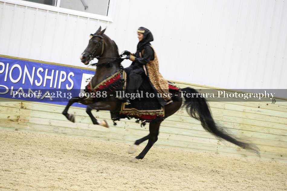 Proof 22R13_09288