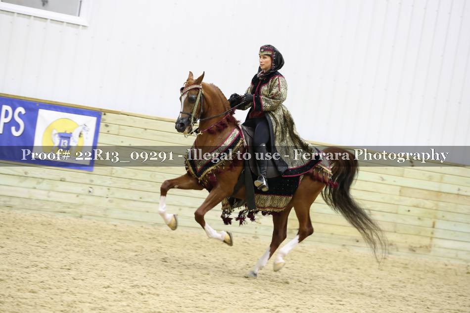 Proof 22R13_09291