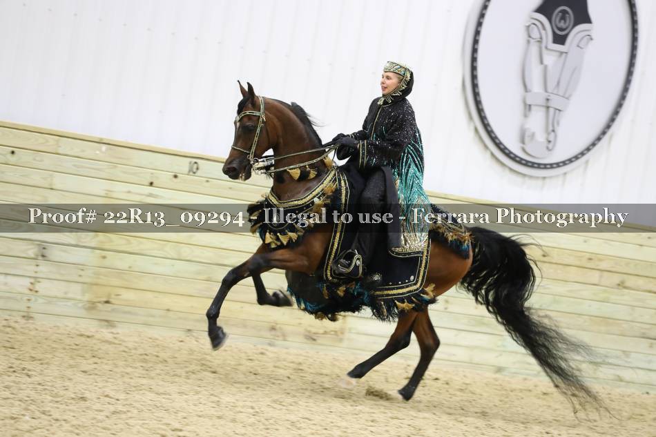 Proof 22R13_09294