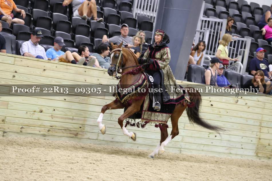 Proof 22R13_09305