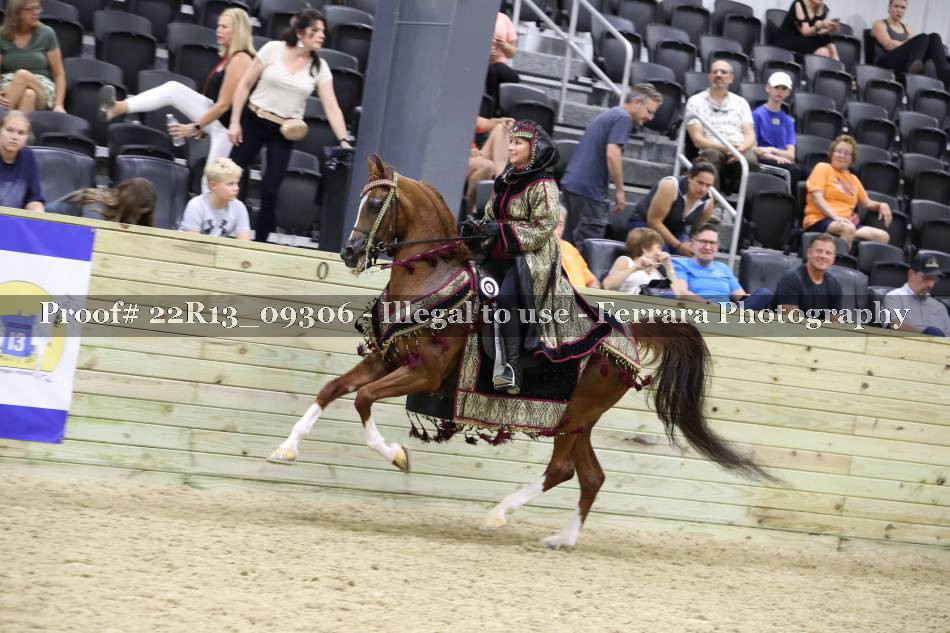 Proof 22R13_09306