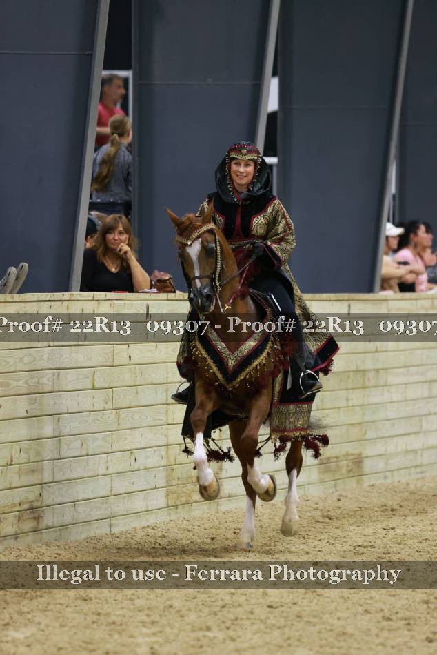 Proof 22R13_09307