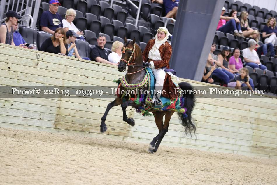 Proof 22R13_09309
