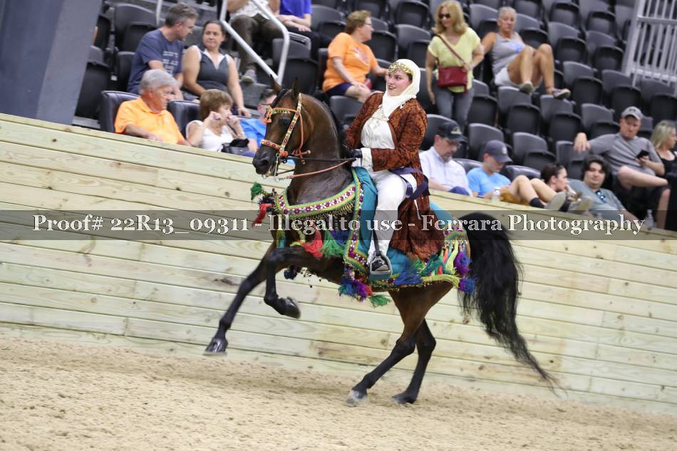 Proof 22R13_09311