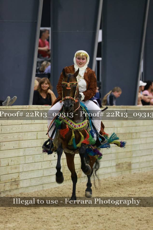 Proof 22R13_09313