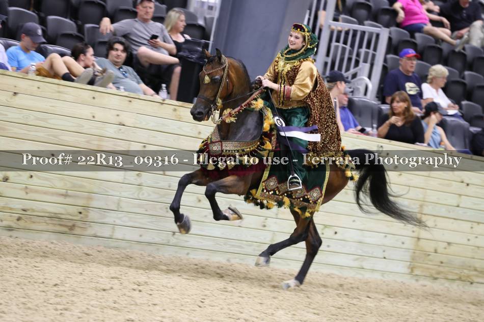 Proof 22R13_09316