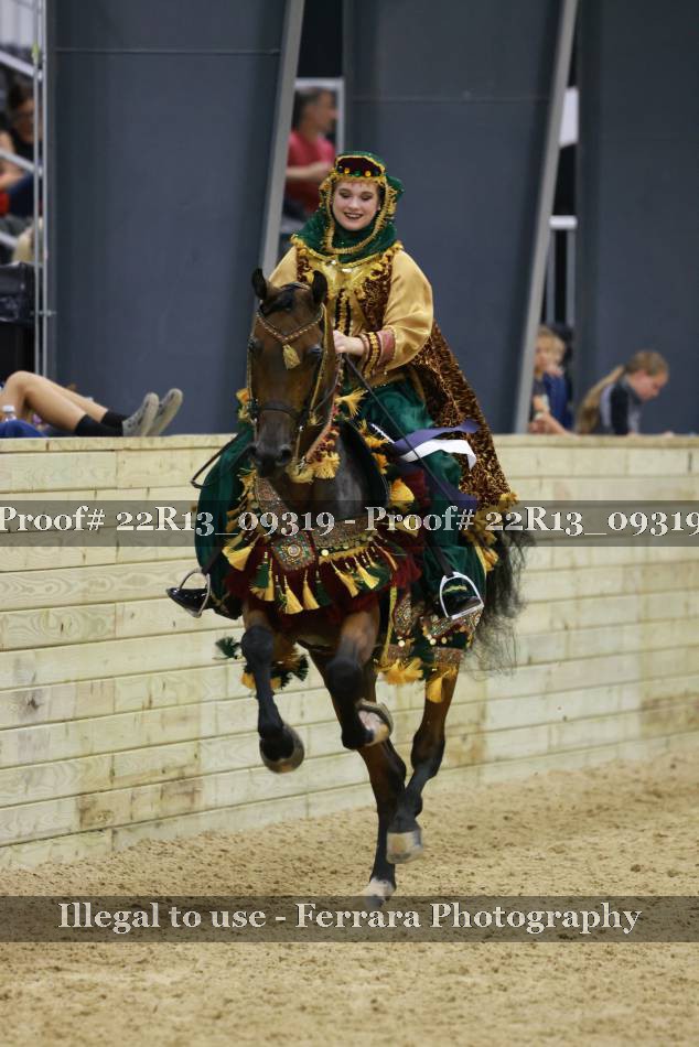 Proof 22R13_09319
