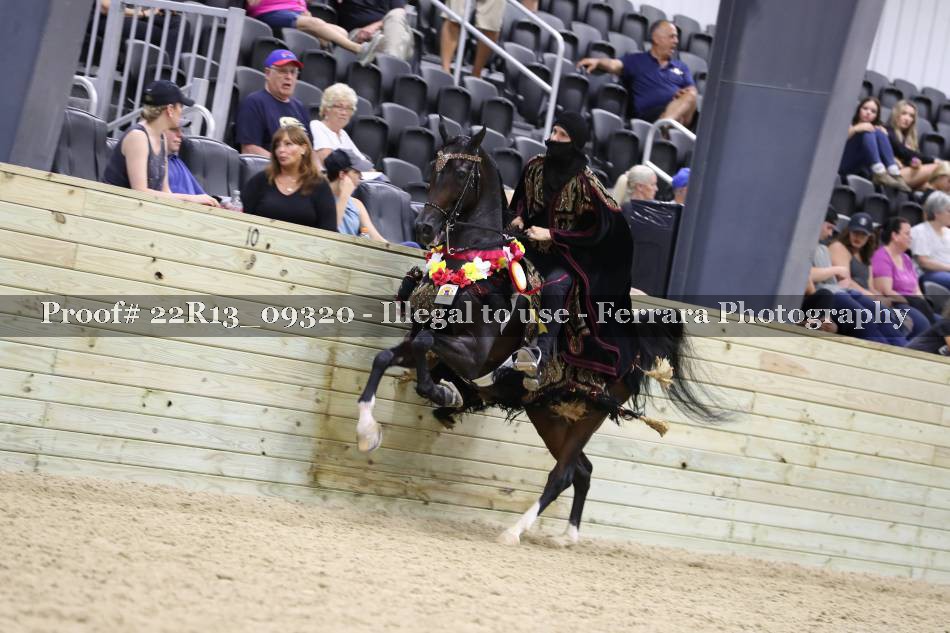 Proof 22R13_09320