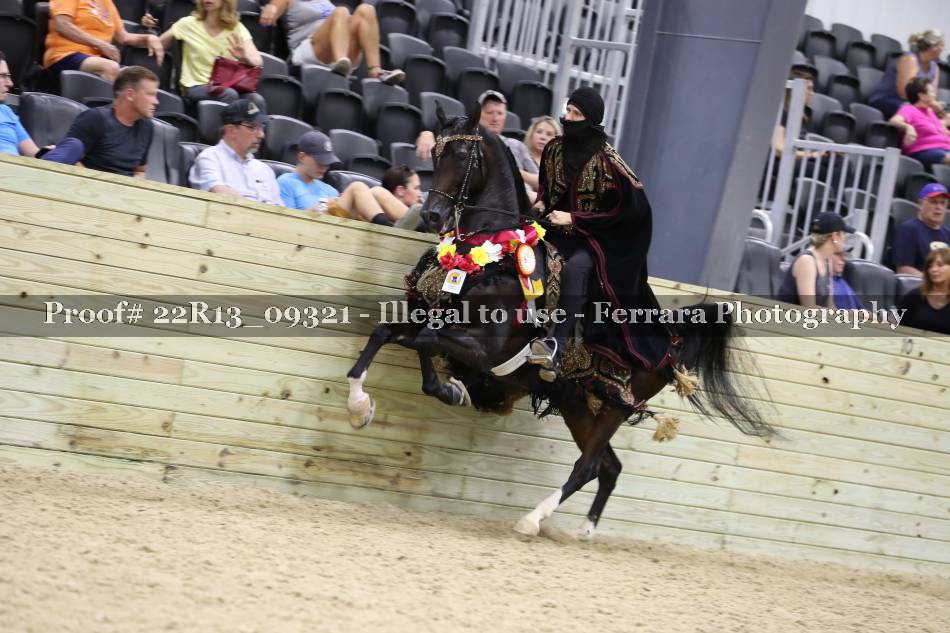 Proof 22R13_09321