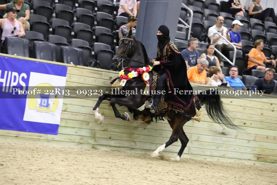 Proof 22R13_09323