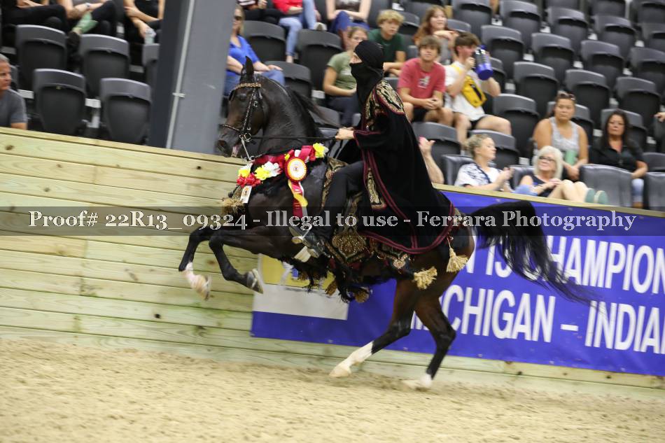 Proof 22R13_09324