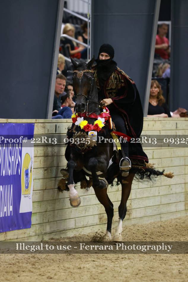 Proof 22R13_09325